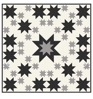 Gerri Robinson Galaxy of Stars Booklet6