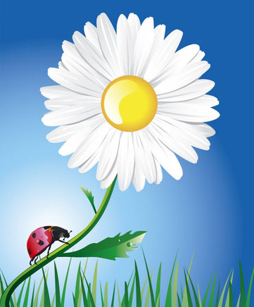 Daisy and Ladybug 2