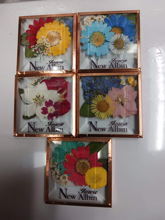 New Albin IA - Beveled Glass Magnets - Real Pressed Flowers