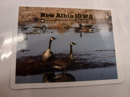 New Albin IA Magnet