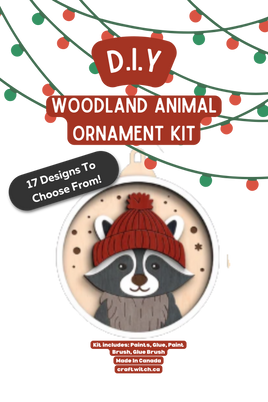 Raccoon Winter Wonderland Ornament Kit : Anima