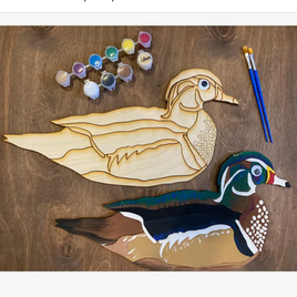 Wood Duck DIY Painting Kit