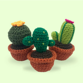 Colorful Cacti Amigurumi Kit